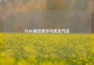 PUBG延迟显示与优化     