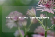 PUBG Profile，解锁你的战场身份与数据故事