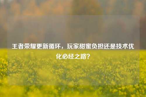 王者荣耀更新循环,玩家甜蜜负担还是技术优化必经之路?