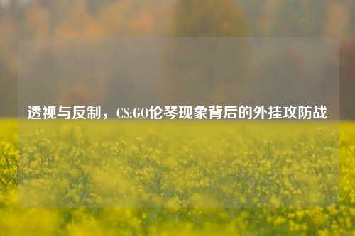 透视与反制,CS:GO伦琴现象背后的外挂攻防战