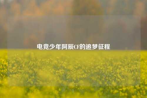 电竞少年阿辰CF的追梦征程