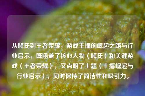从嗨氏到王者荣耀,游戏主播的崛起之路与行业启示,既涵盖了核心人物(嗨氏)和关键游戏(王者荣耀),又点明了主题(主播崛起与行业启示),同时保持了简洁性和吸引力。