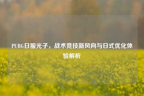 PUBG日服光子,战术竞技新风向与日式优化体验解析