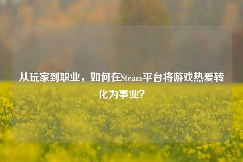 从玩家到职业,如何在Steam平台将游戏热爱转化为事业?