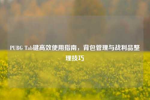 PUBG Tab键高效使用指南,背包管理与战利品整理技巧