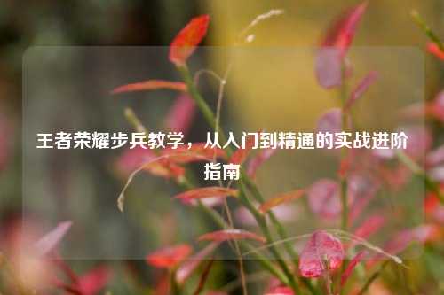 王者荣耀步兵教学,从入门到精通的实战进阶指南