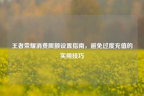 王者荣耀消费限额设置指南,避免过度充值的实用技巧