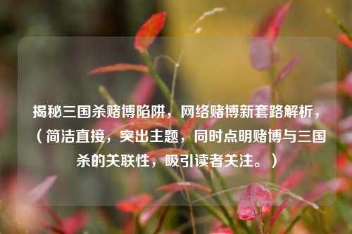 揭秘三国杀赌博陷阱, 赌博新套路解析,(简洁直接,突出主题,同时点明赌博与三国杀的关联性,吸引读者关注。)