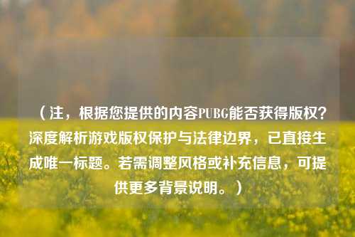 (注,根据您提供的内容PUBG能否获得版权?深度解析游戏版权保护与法律边界,已直接生成唯一标题。若需调整风格或补充信息,可提供更多背景说明。)