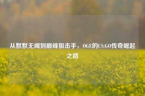 从默默无闻到巅峰狙击手,OGE的CS:GO传奇崛起之路