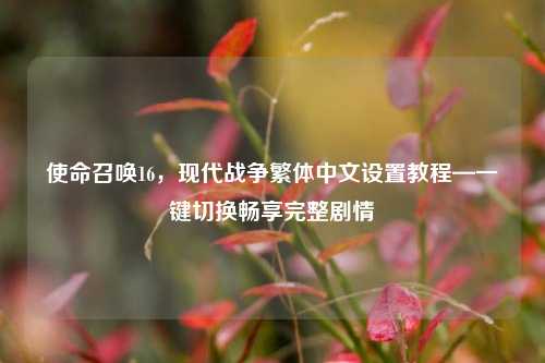 使命召唤16,现代战争繁体中文设置教程—一键切换畅享完整剧情