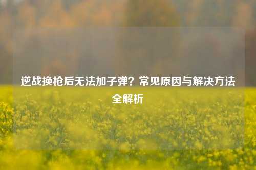 逆战换枪后无法加子弹?常见原因与解决 全解析