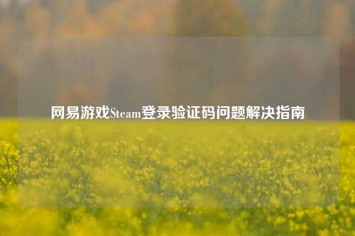 网易游戏Steam登录验证码问题解决指南