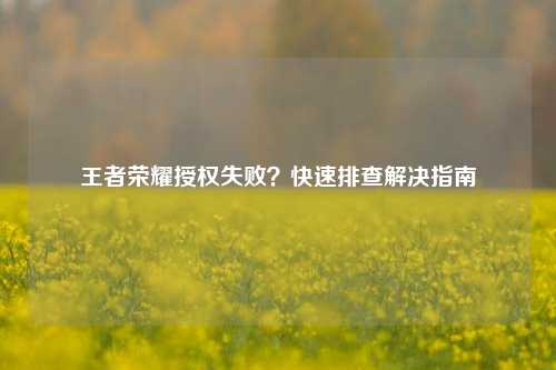 王者荣耀授权失败?快速排查解决指南
