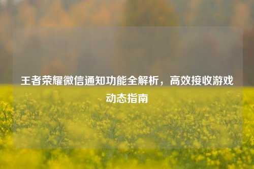 王者荣耀微信通知功能全解析,高效接收游戏动态指南