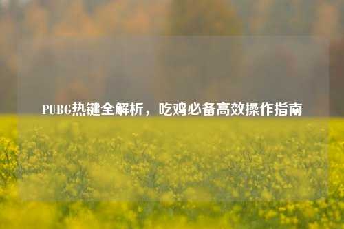 PUBG热键全解析,吃鸡必备高效操作指南