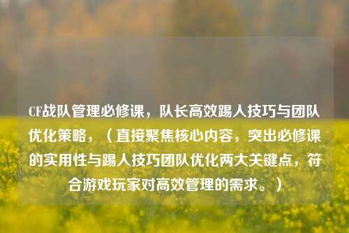 CF战队管理必修课,队长高效踢人技巧与团队优化策略,(直接聚焦核心内容,突出必修课的实用性与踢人技巧团队优化两大关键点,符合游戏玩家对高效管理的需求。)