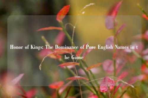 Honor of Kings: The Dominance of Pure English Names in the Game