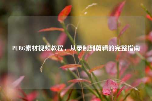 PUBG素材视频教程,从录制到剪辑的完整指南