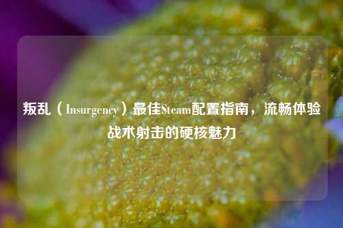 叛乱(Insurgency)更佳Steam配置指南,流畅体验战术射击的硬核魅力
