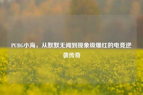 PUBG小海,从默默无闻到现象级爆红的电竞逆袭传奇