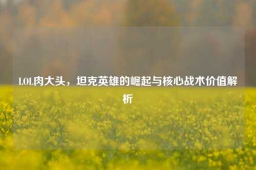 LOL肉大头,坦克英雄的崛起与核心战术价值解析