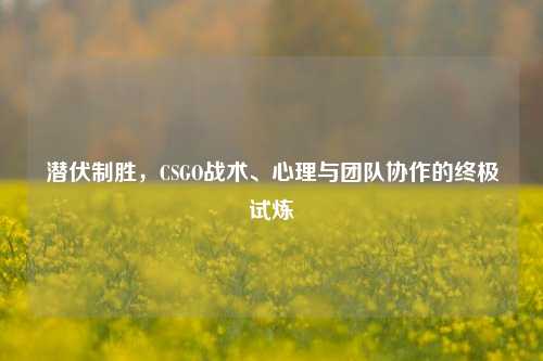 潜伏制胜,CSGO战术、心理与团队协作的终极试炼