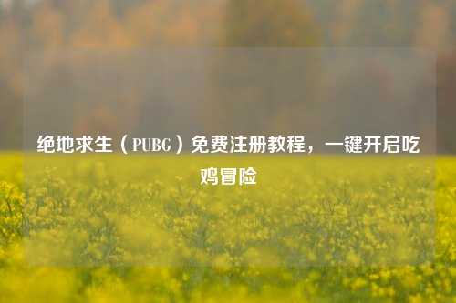 绝地求生（PUBG）免费注册教程，一键开启吃鸡冒险