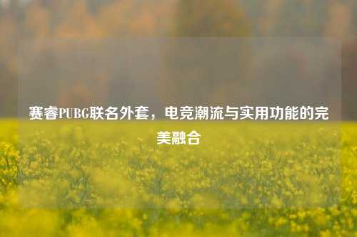 赛睿PUBG联名外套,电竞潮流与实用功能的完美融合