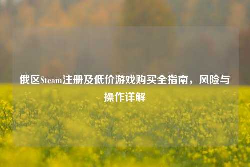 俄区Steam注册及低价游戏购买全指南，风险与操作详解