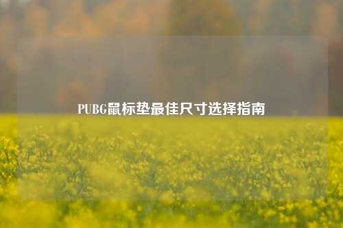 PUBG鼠标垫更佳尺寸选择指南