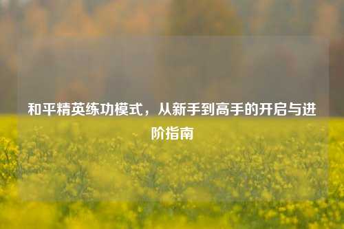 和平精英练功模式,从新手到高手的开启与进阶指南