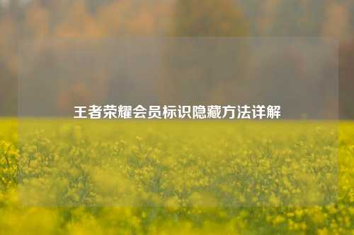 王者荣耀会员标识隐藏 详解