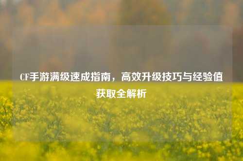 CF手游满级速成指南,高效升级技巧与经验值获取全解析