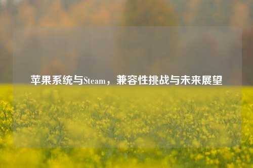 苹果系统与Steam,兼容性挑战与未来展望
