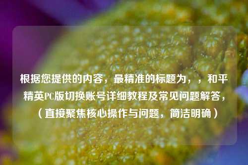 根据您提供的内容,最精准的标题为,,和平精英PC版切换账号详细教程及常见问题解答,(直接聚焦核心操作与问题,简洁明确)