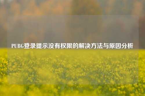PUBG登录提示没有权限的解决     与原因分析