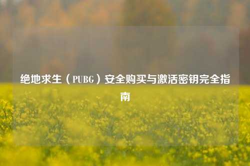 绝地求生(PUBG)安全购买与激活密钥完全指南