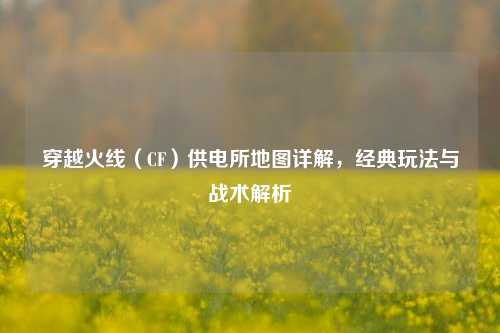 穿越火线(CF)供电所地图详解,经典玩法与战术解析