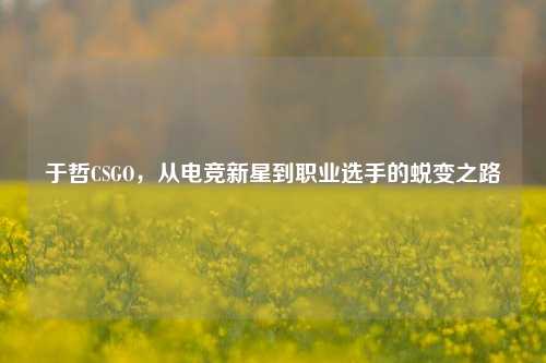 于哲CSGO,从电竞新星到职业选手的蜕变之路