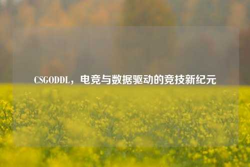 CSGODDL,电竞与数据驱动的竞技新纪元