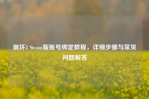 崩坏3 Steam版账号绑定教程,详细步骤与常见问题解答
