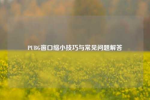 PUBG窗口缩小技巧与常见问题解答