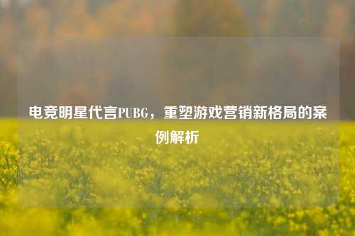 电竞明星代言PUBG,重塑游戏营销新格局的案例解析