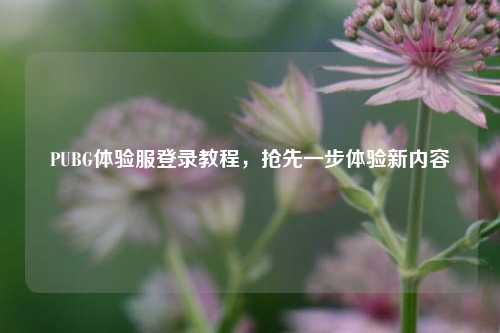 PUBG体验服登录教程，抢先一步体验新内容