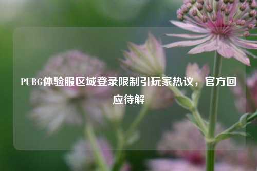 PUBG体验服区域登录限制引玩家热议，官方回应待解