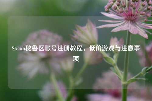 Steam秘鲁区账号注册教程，低价游戏与注意事项