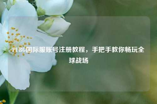 PUBG国际服账号注册教程，手把手教你畅玩全球战场