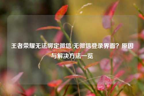王者荣耀无法绑定微信/无微信登录界面？原因与解决     一览