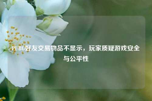 PUBG好友交易物品不显示,玩家质疑游戏安全与公平性